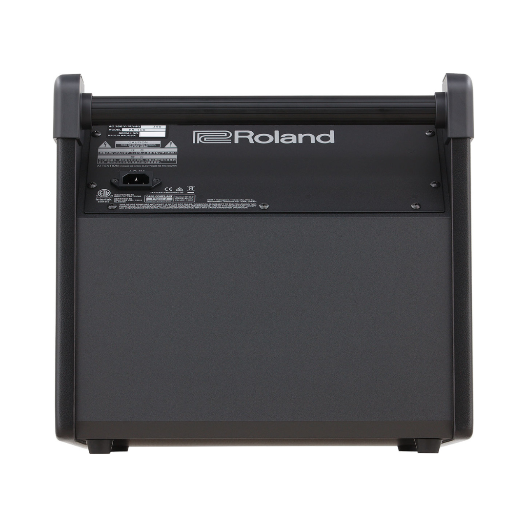 Roland PM-100 Personal Monitor